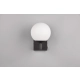 KULA – 284270132 excl. 1x E14 · max. 10W TRIO